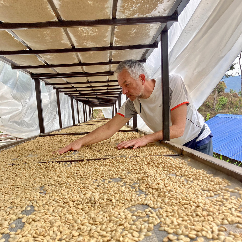 Coffee Drying