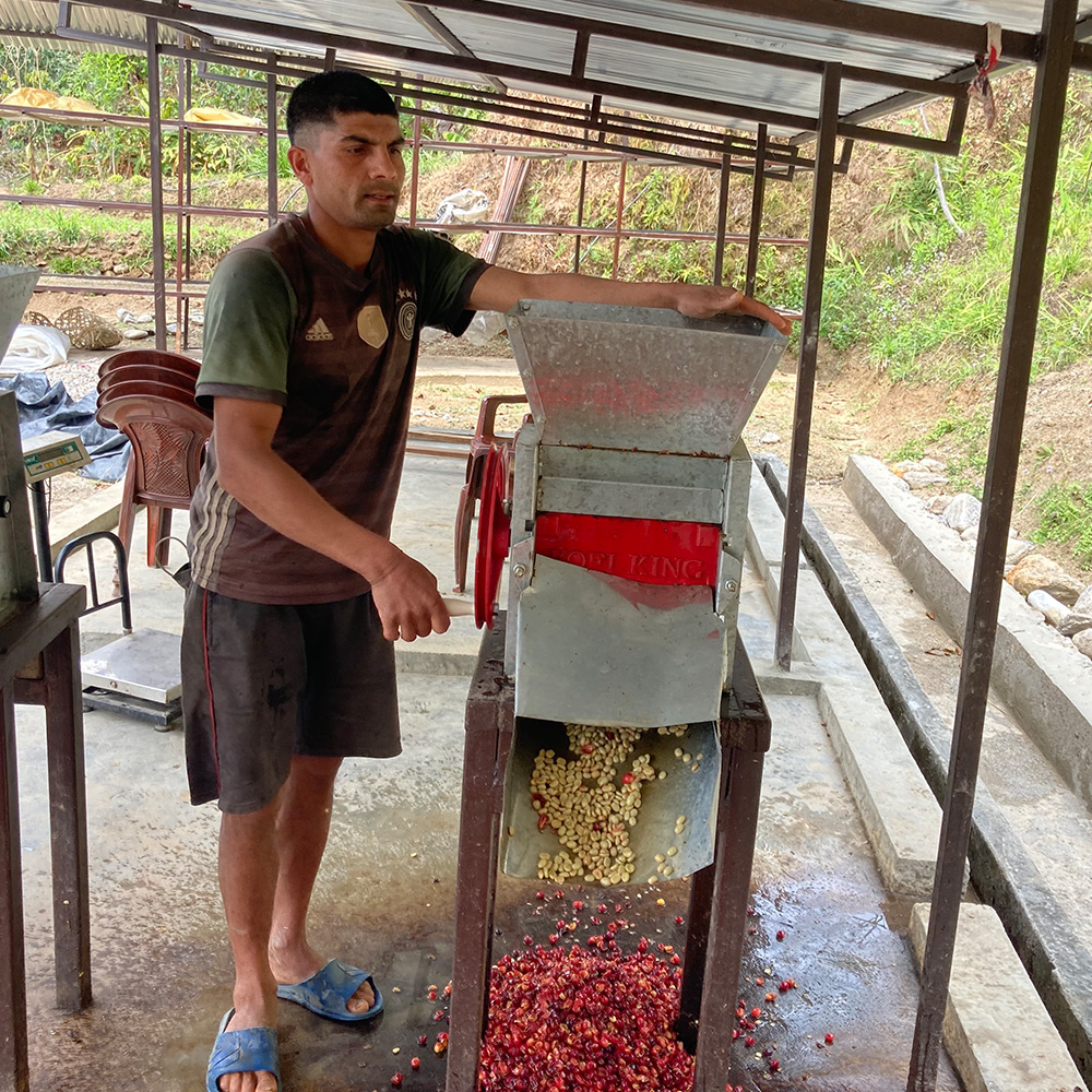 Coffee Pulping